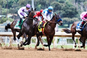 Online Wagering Horses 2020